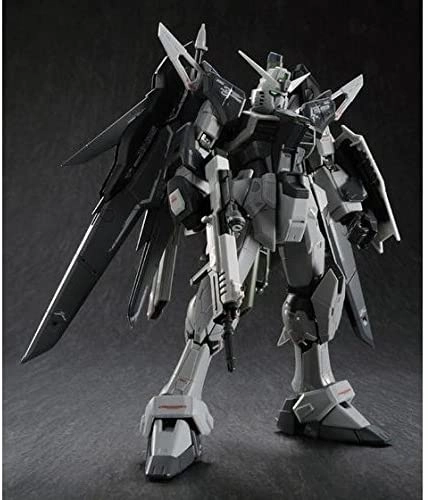 Gundam 1/144 RG ZGMF-X42S Destiny Gundam Deactive Mode Bandai Shop Model Kit Exclusive Artistic Sculpture Designer Item