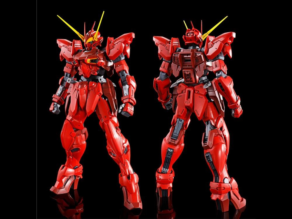 Gundam 1/100 MG Seed Astray Testament Gundam Model Kit Exclusive Future Antique Handmade Sculpture