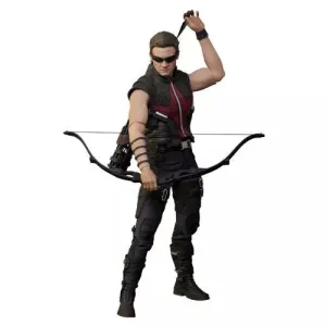 Collector Display Hot Toys 1/6 The Avengers Hawkeye Sixth Scale Figure MMS172