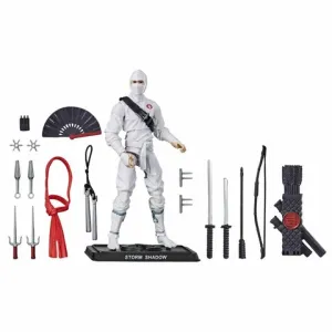 Hasbro Retro G.I. Joe Storm Shadow Walmart Exclusive Action Figure Complete Collection Sports Figure
