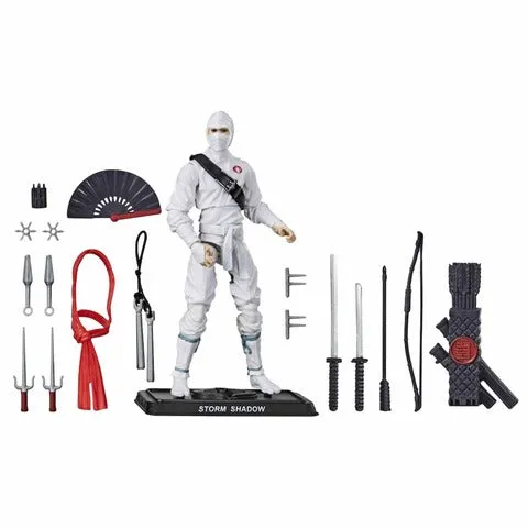 Hasbro Retro G.I. Joe Storm Shadow Walmart Exclusive Action Figure Complete Collection Sports Figure