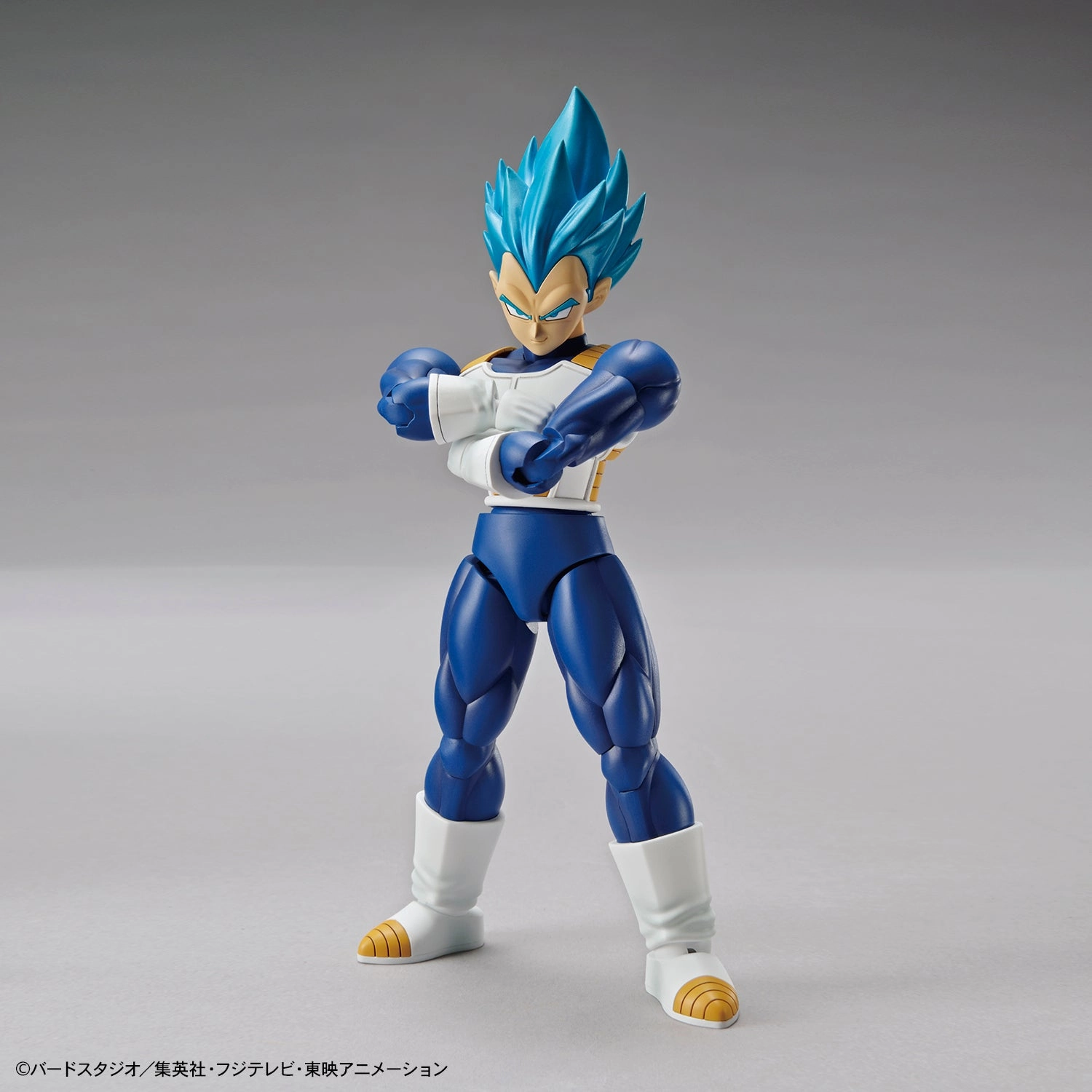 Figure-rise Standard Dragonball Super Super Saiyan God Super Saiyan Vegeta Plastic Model Kit Alternate Costume